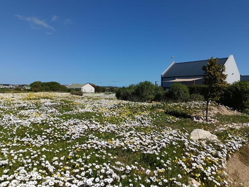 Silver Oaks Airbnb Images