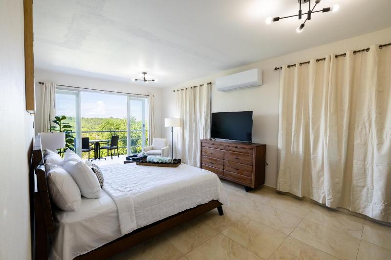 Suite with Pool View image 4