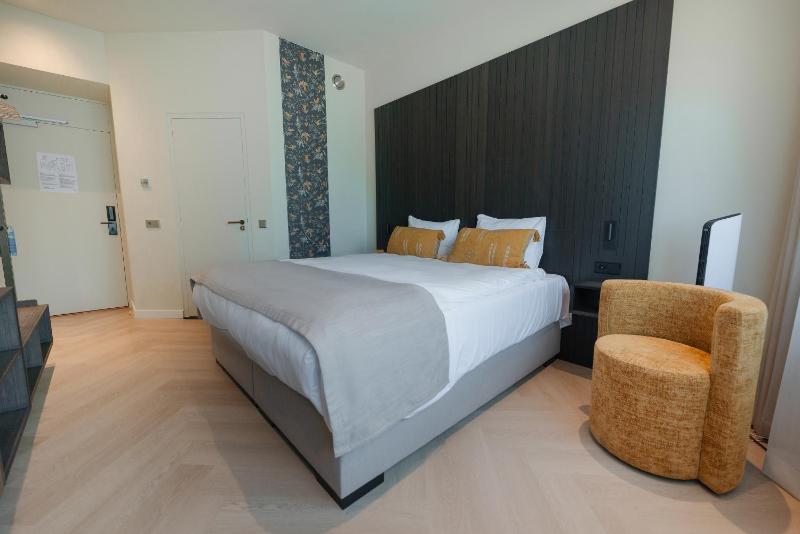 Deluxe King Room image 1