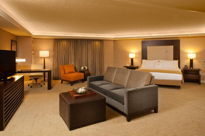 1 King Bed Studio Suite image 2