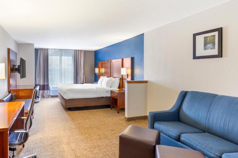 Business King Suite with Roll-In Shower - Accessible/Non-Smoking image 2