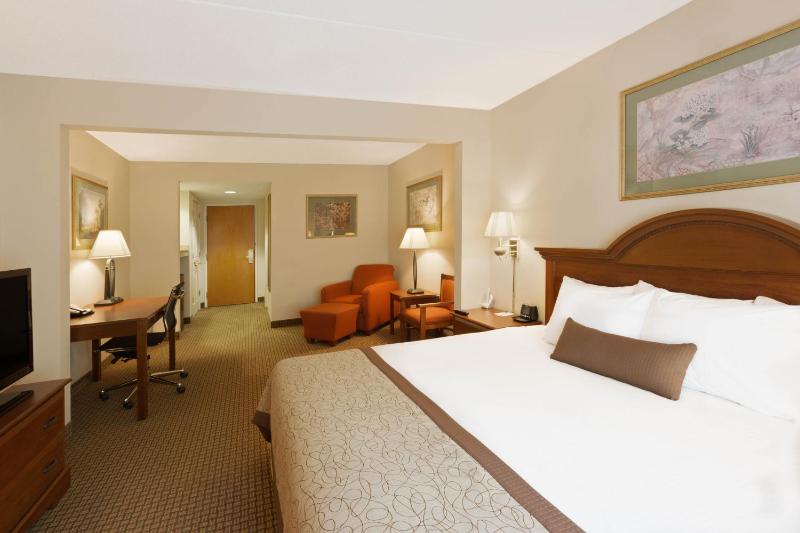 King Room - Non-Smoking image 2