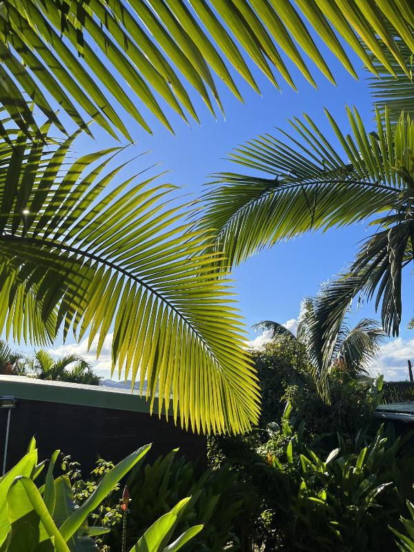 Eden Paradise Spa Ecolodge - image 14