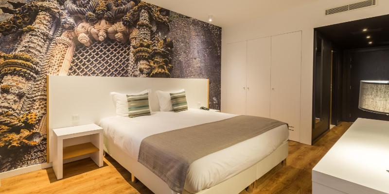 Superior Double or Twin Room image 4
