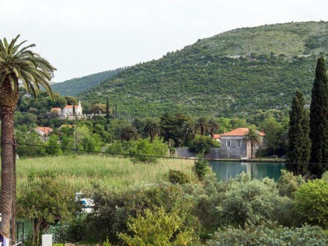 Villa Roza- Two-Bedroom Apartment - image 10