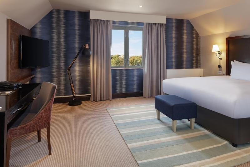 Penthouse King Suite image 1