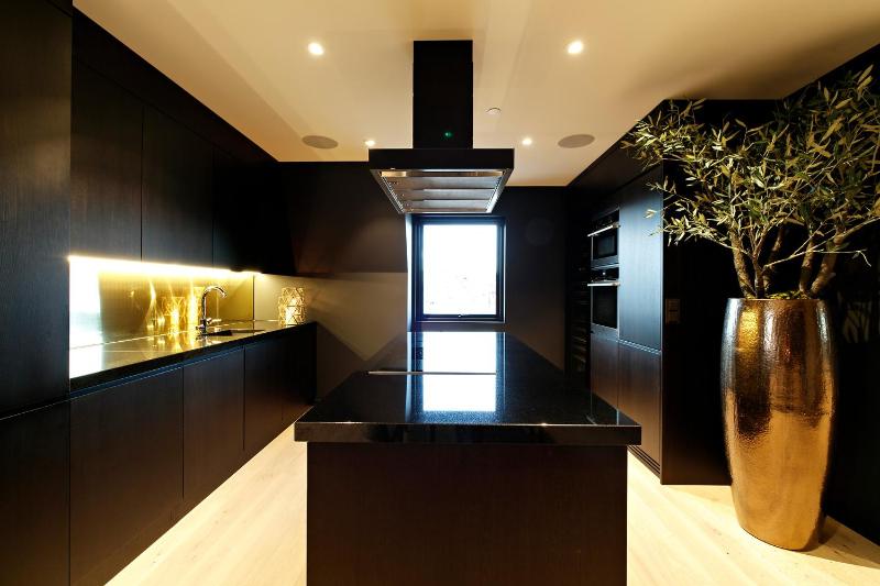 Penthouse Apartment image 3