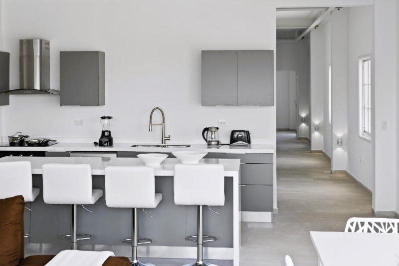 Bocobay Penthouse 4BR 4BA with Rooftop Pool - image 9