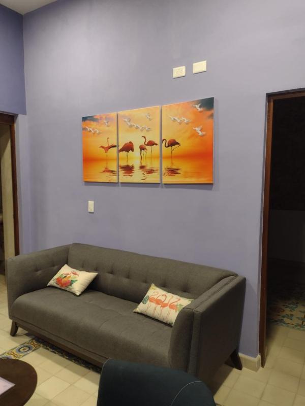Casa Flamingo - image 5