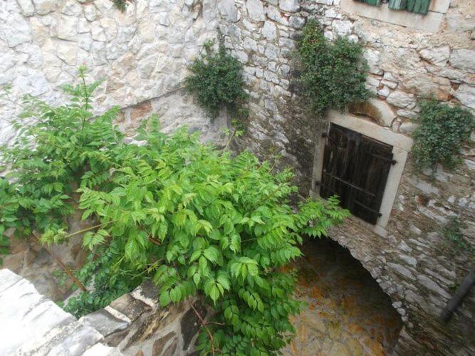 Apartments Sunce - One Bedroom Apartment with Terrace and Sea View - image 10