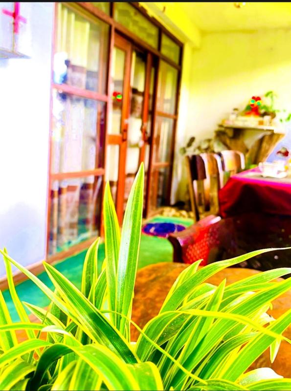 Dream Nest - image 40