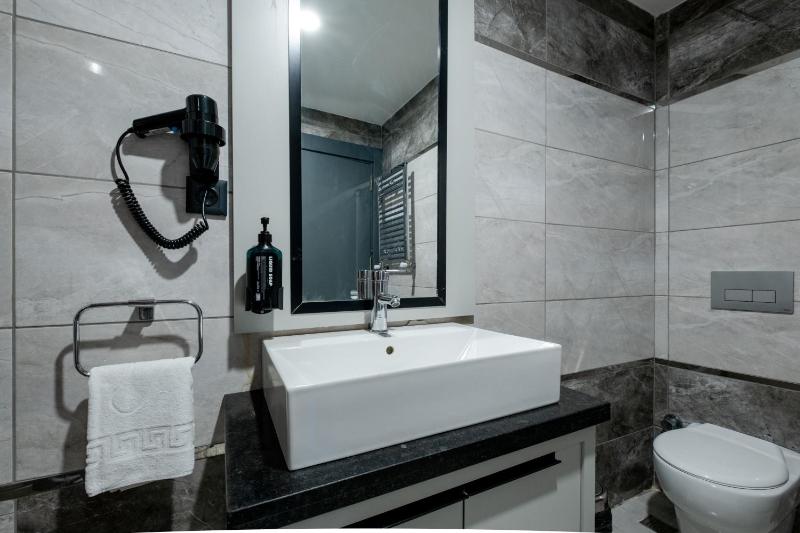 Standard Twin Room image 2