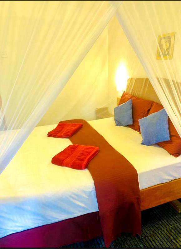 Dream Nest - image 12