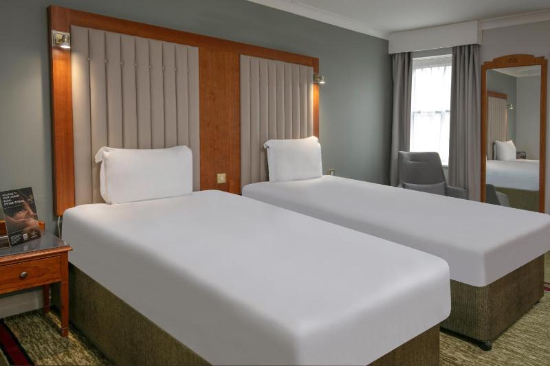 Classic Twin Room image 3