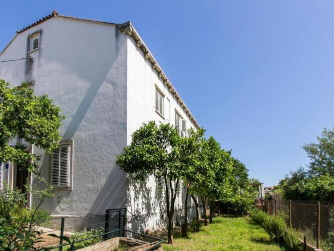 Apartment Blue  Green -  Two-Bedroom Apartment with Terrace and Garden View - image 1
