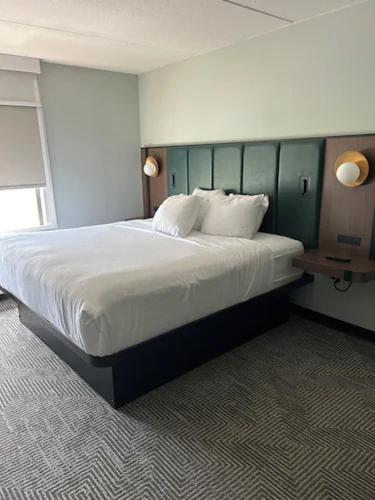 Studio Suite with One King Bed - No Pets/Non-Smoking image 4