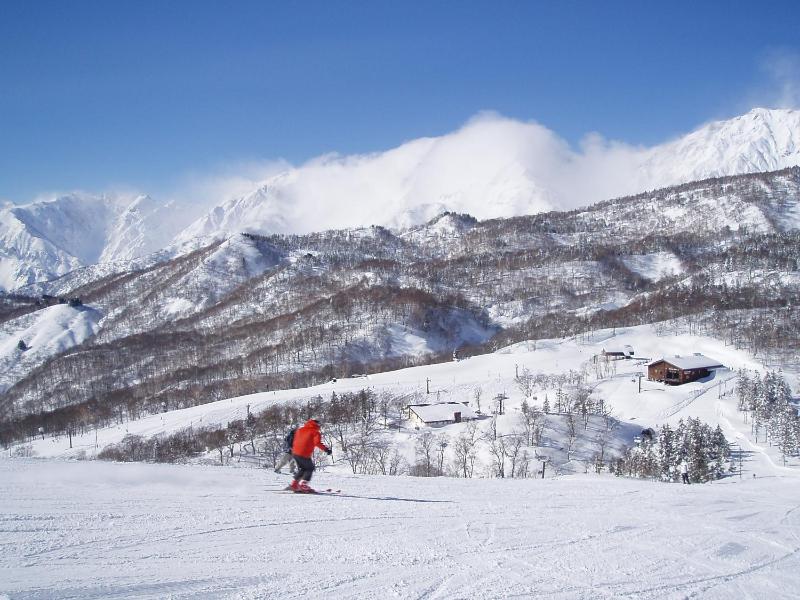 Hotel Cerulean Alpine - image 20