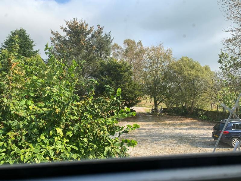 Double Room - No Pets Allowed image 3