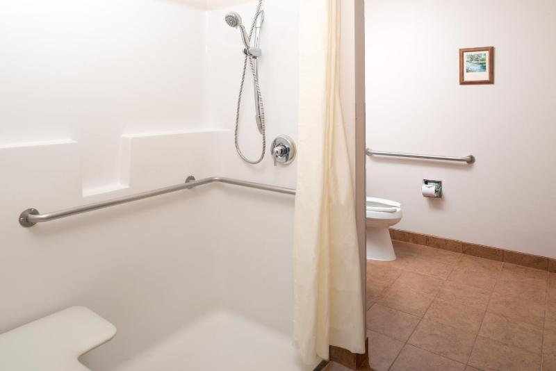 King Studio Suite - Mobility Access/Non-Smoking image 2
