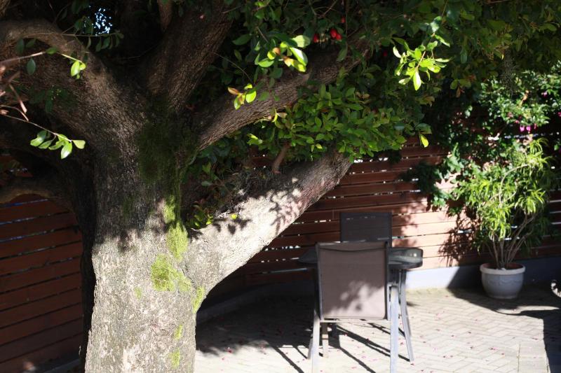 Reef View BnB - image 12