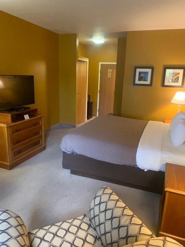 Standard King Room - Non-Smoking  image 3
