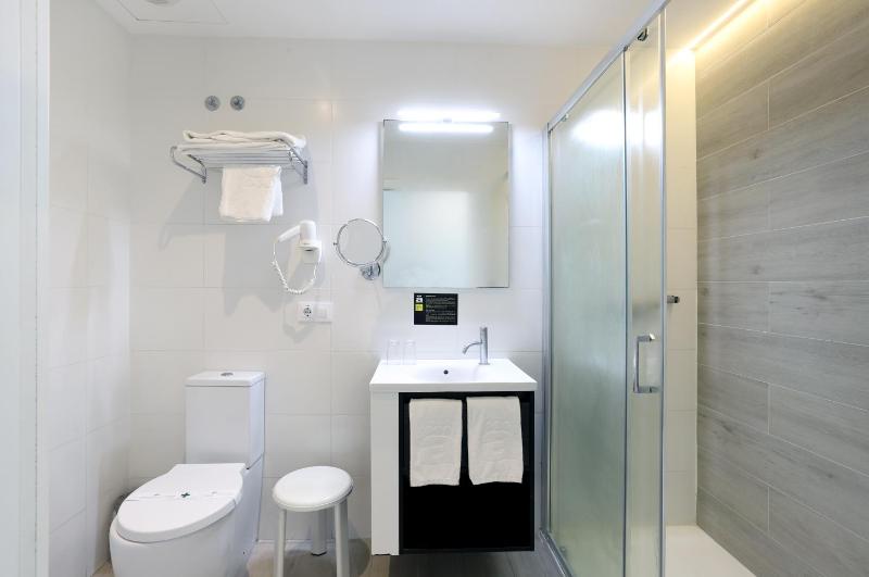 Standard Double or Twin Room (2 +1) image 3