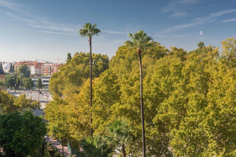 Hotel Alfonso XIII a Luxury Collection Hotel Seville - image 13