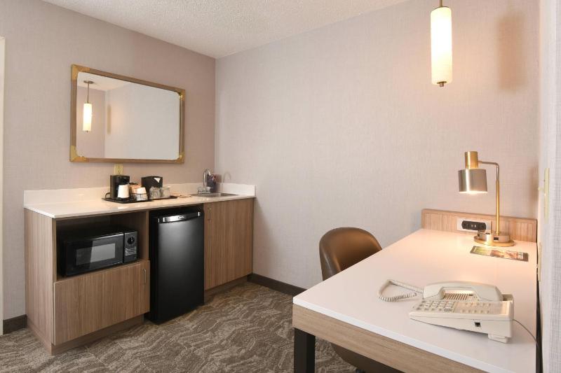 King Suite with Sofa Bed - Hearing Accessible image 3