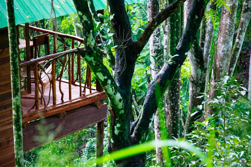 ELLA Eco Lodge Wellness & Yoga retreat - image 11