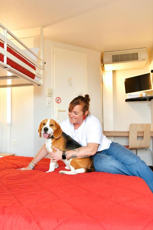Triple Room (1 Double Bed + 1 Single Bed) image 1