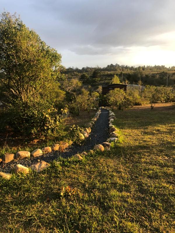 Glamping La Reserva - image 24
