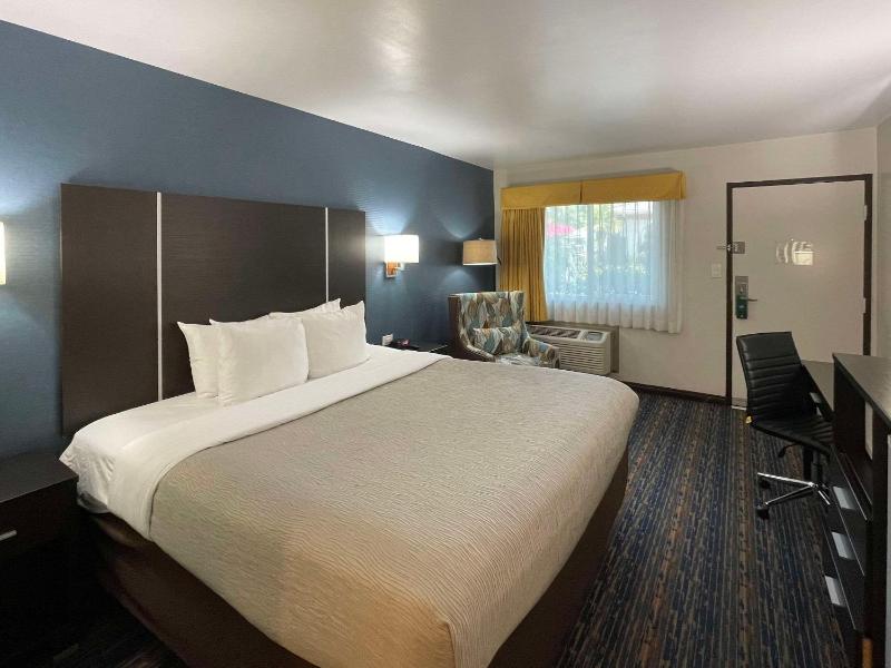 Standard Room, 1 King Room, Non Smoking image 1