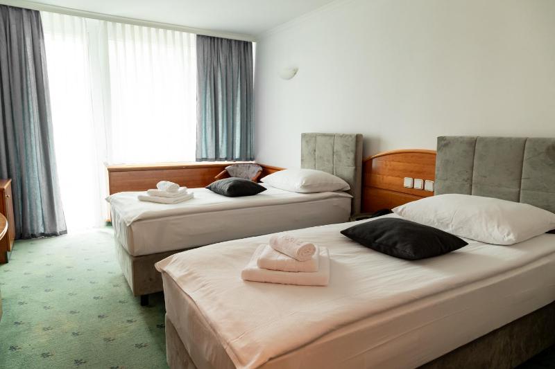 Standard Twin Room image 3