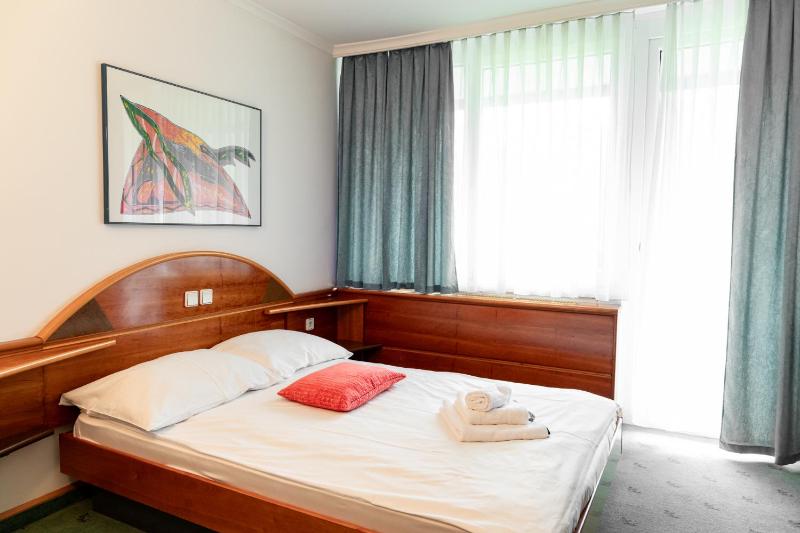 Standard Single Room image 4