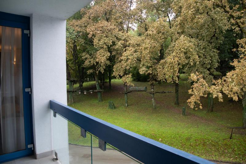 Suite with Balcony image 3
