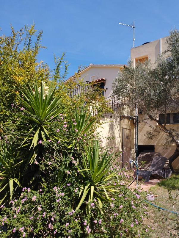 Apartment - Ground Floor image 1