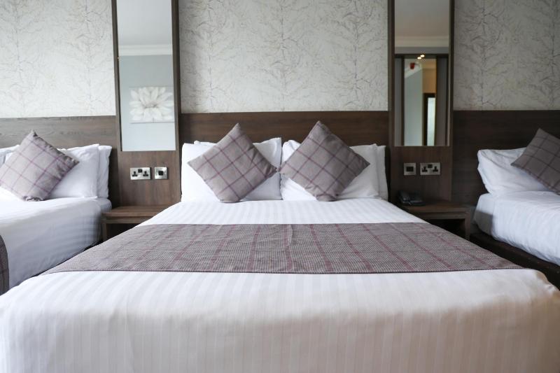 Double or Twin Room image 4