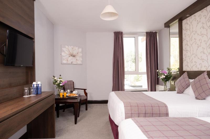 Double or Twin Room image 3