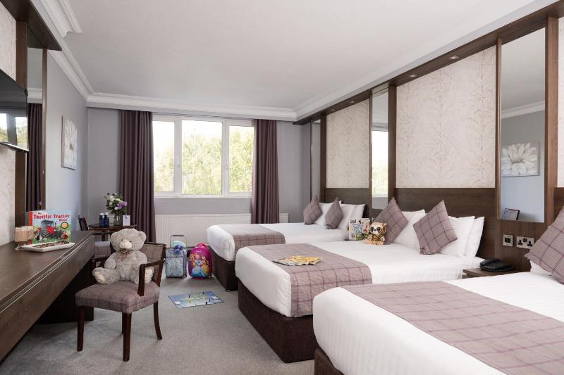 Standard Family Room image 4