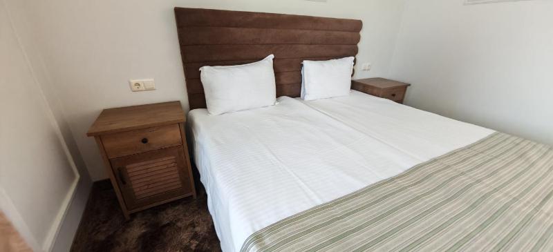Deluxe Double or Twin Room image 1