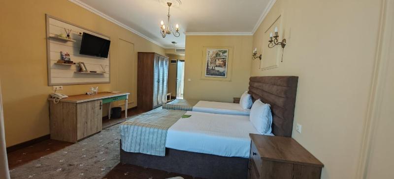 Deluxe Double or Twin Room image 3