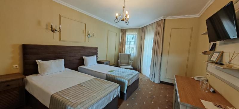 Deluxe Double or Twin Room image 2