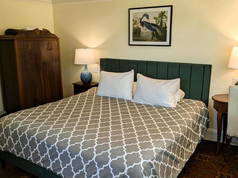 Bluebird Guesthouse - image 31