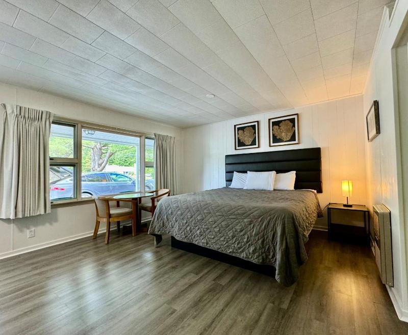 Deluxe King Suite image 2