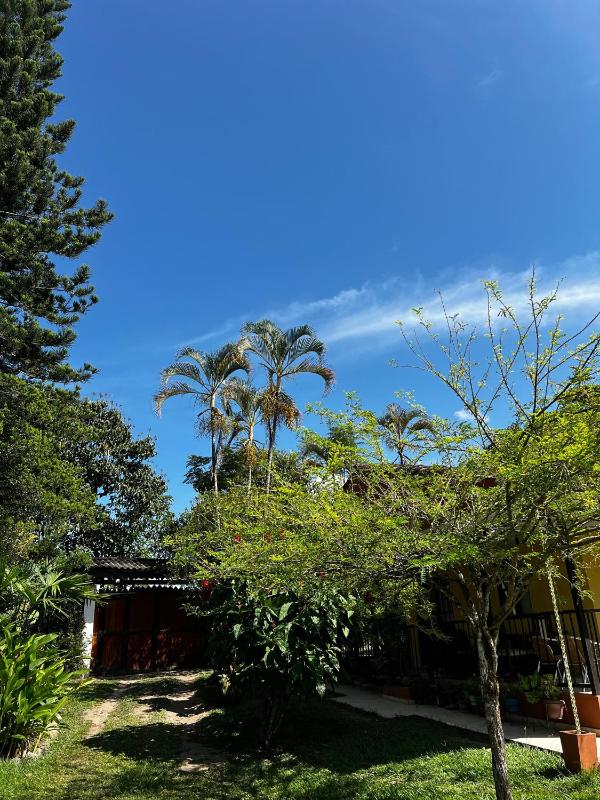 Charming Nature House/ Finca Tradicional Cafetera - image 22