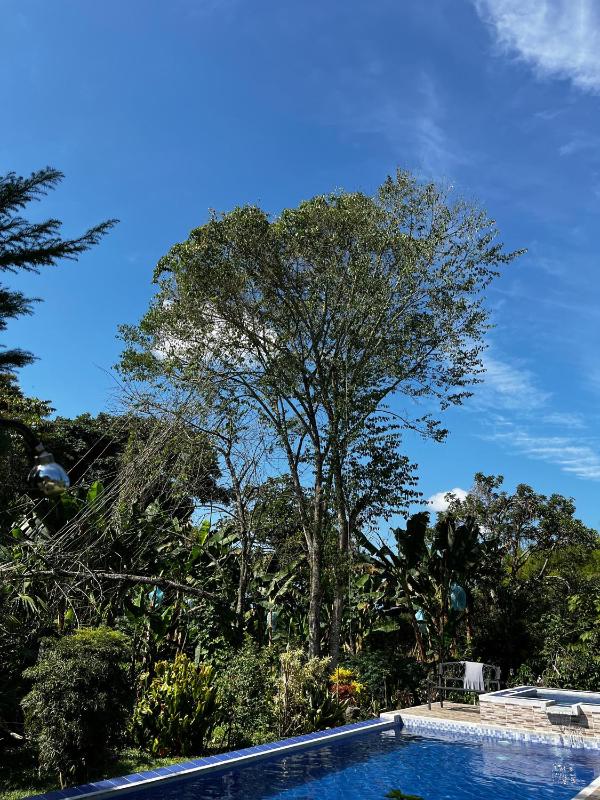 Charming Nature House/ Finca Tradicional Cafetera - image 20