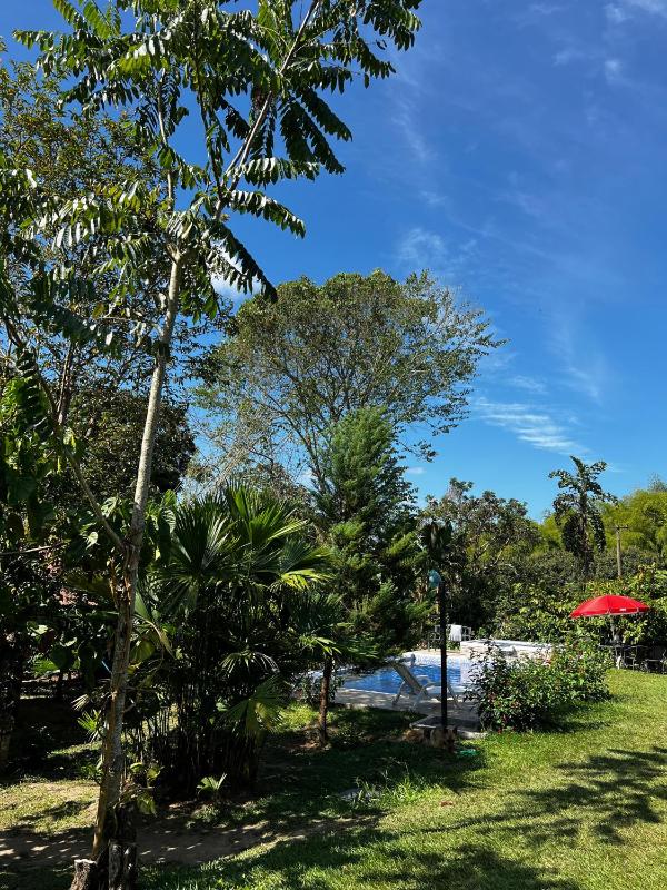 Charming Nature House/ Finca Tradicional Cafetera - image 8