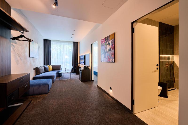 One-Bedroom Superior Apartment image 3