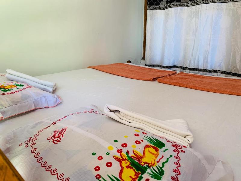 Raja Guest House - image 4