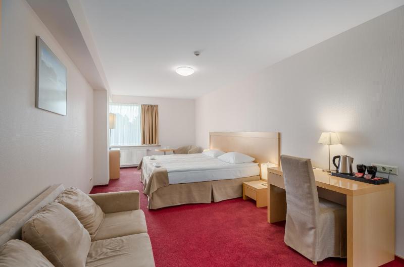 Superior Double Room image 4